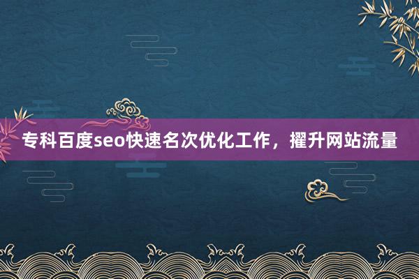 专科百度seo快速名次优化工作，擢升网站流量