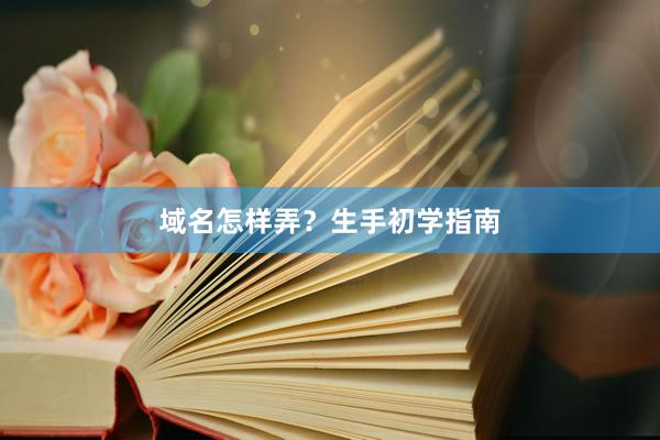 域名怎样弄？生手初学指南