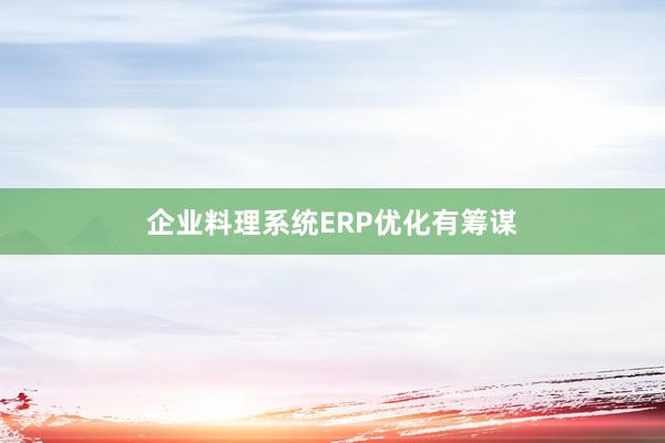 企业料理系统ERP优化有筹谋
