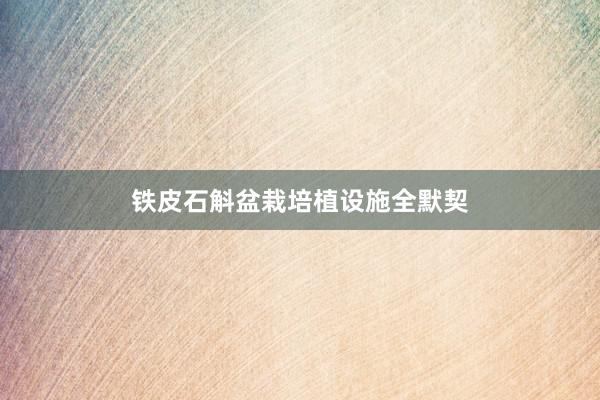 铁皮石斛盆栽培植设施全默契