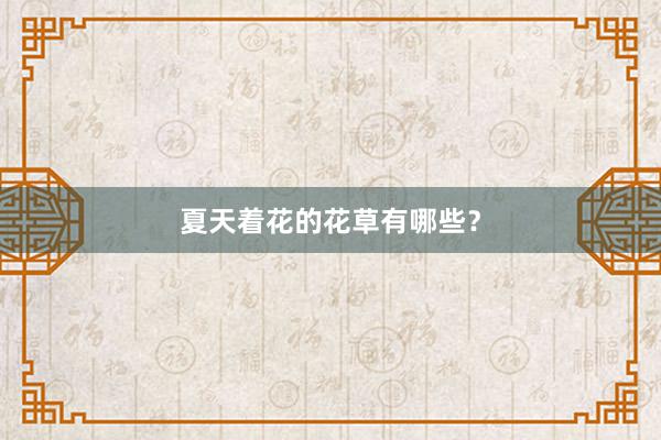 夏天着花的花草有哪些？