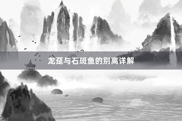 龙趸与石斑鱼的别离详解